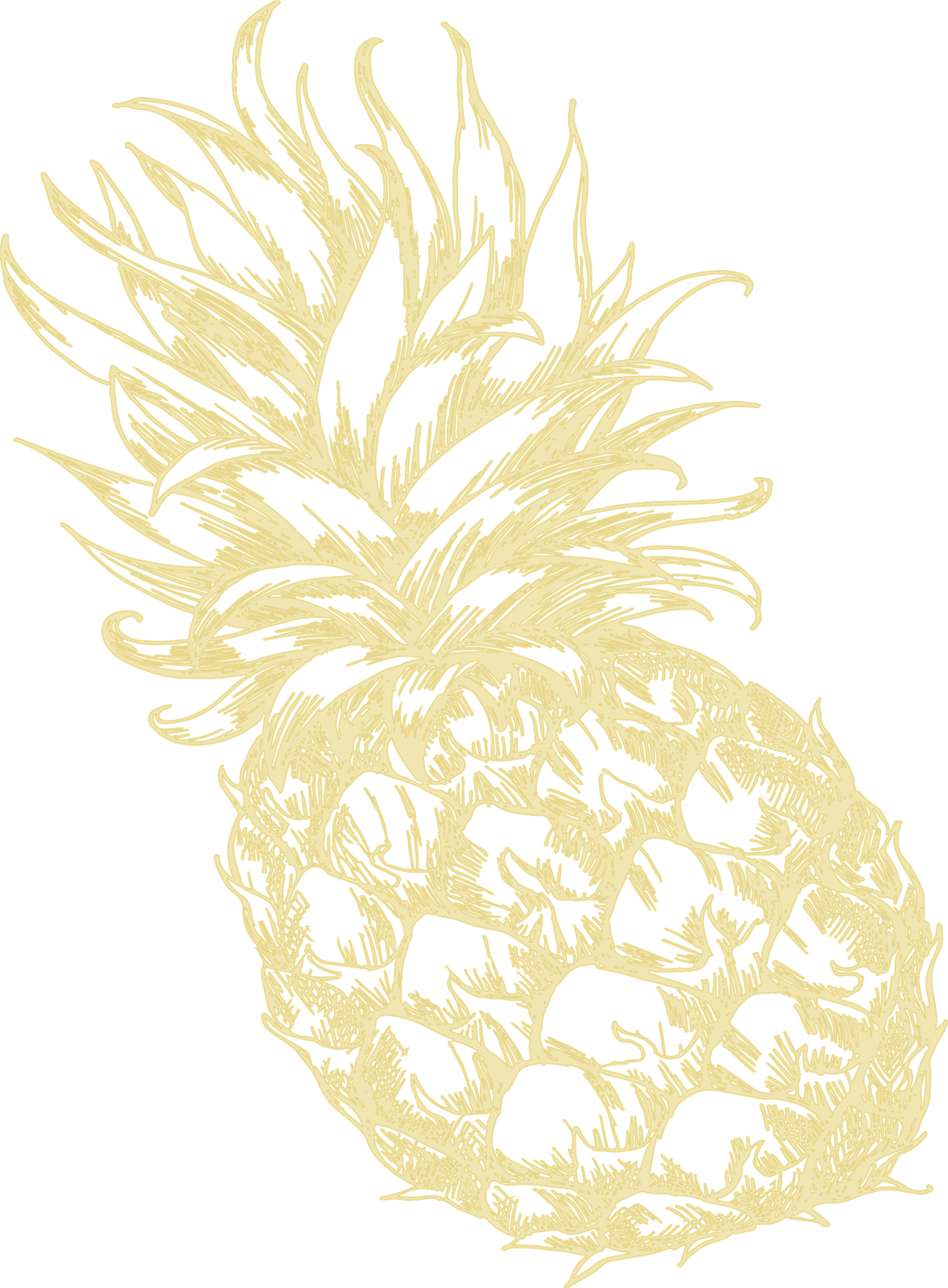 Gold_Leaf3_Pineapple_Dark