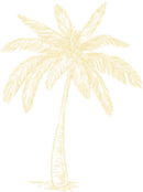 palm-tree-2x