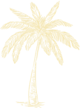 palm-tree-2x