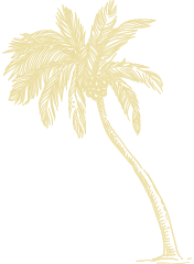 palm-tree2-2x